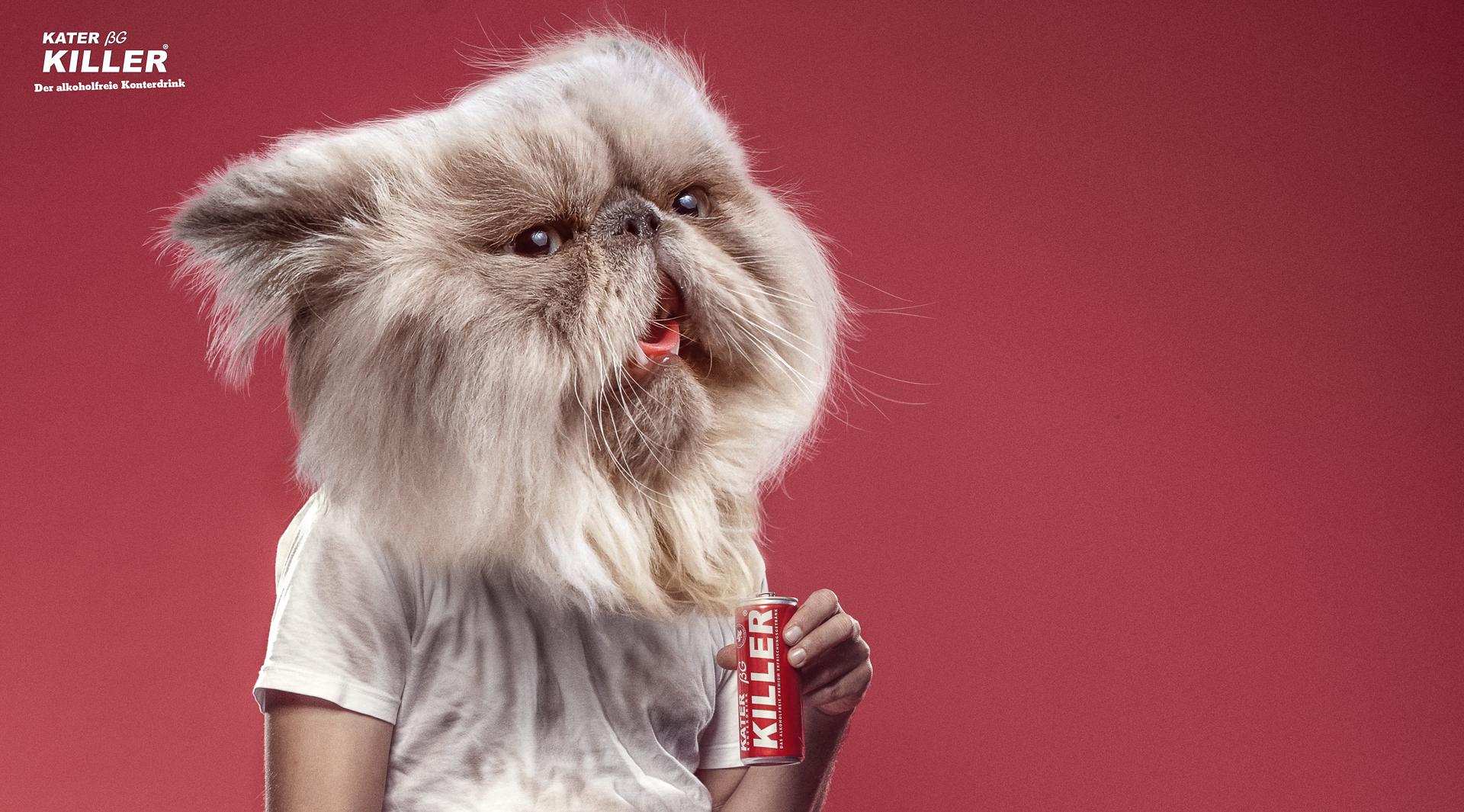 kater kater